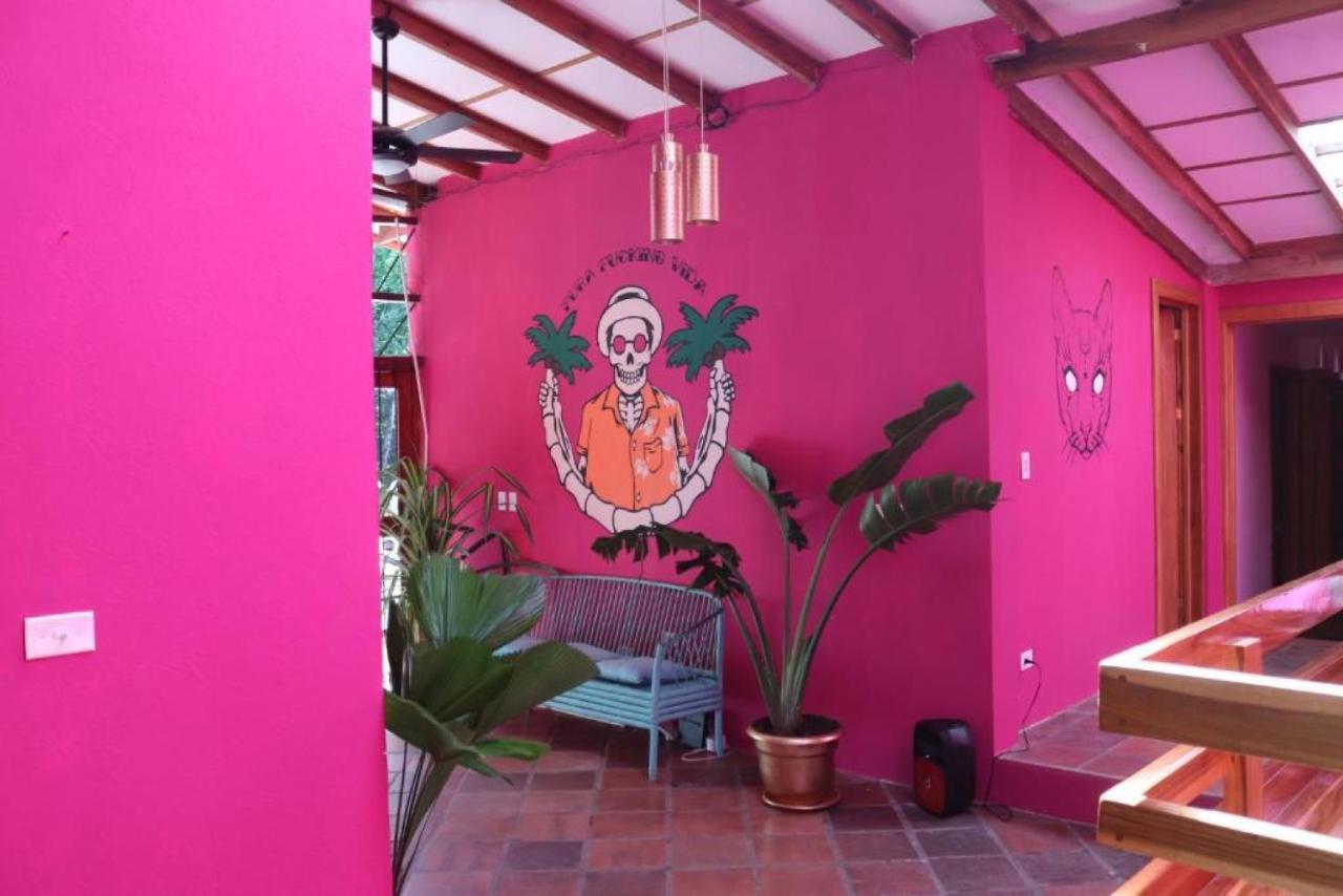 Planet B Hostel - Adults Only Manuel Antonio Exteriör bild